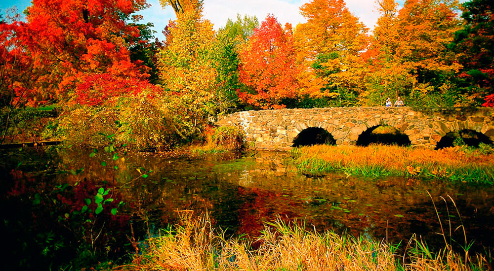 Parc national du Mont-Saint-Bruno富豪的最爱