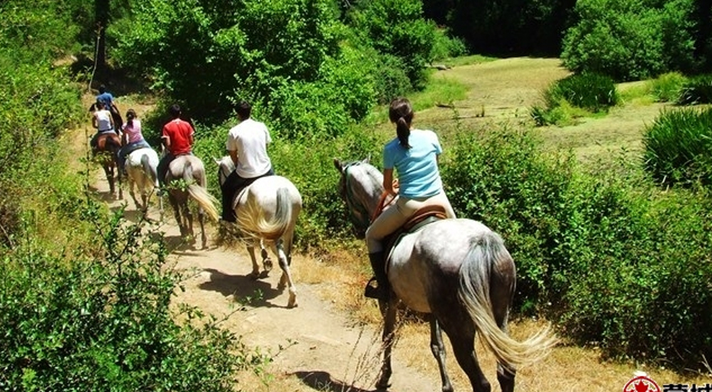 Saint Lazare Ranch四季的骑马场